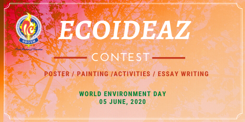 Results of ECOIDEAZ Contest