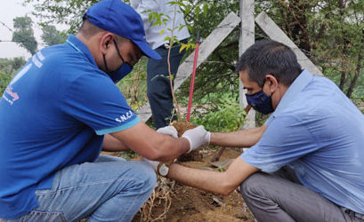 Tree Plantation and Save Tree Campaign